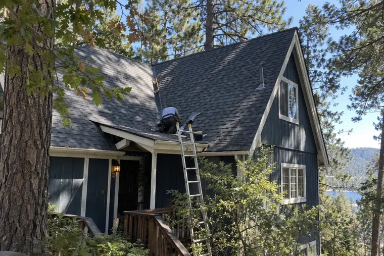 A dark shingle roof on a blue mountain cabin among pines, with a ladder up to the eaves